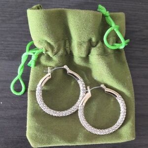 Elegant Silver Hoop Earrings